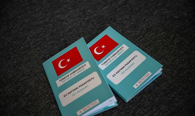 Bornova’da kırsalda sahiplendirme seferberliği 1 bornovada kirsalda sahiplendirme seferberligi