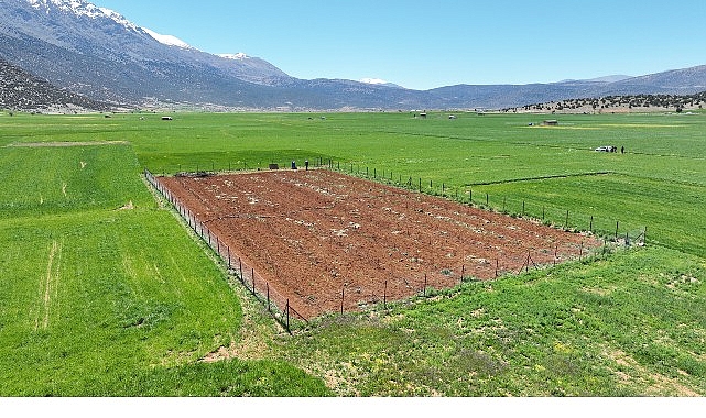 Büyükşehir Belediyesi’nden tarımsal sulamaya büyük destek 1 buyuksehir belediyesinden tarimsal sulamaya buyuk destek