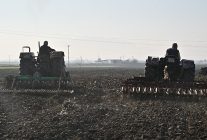 buyuksehirin tohumlari saricali mahallesinin merasini yesertecek