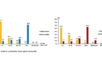 girisim ozelliklerine gore uluslararasi hizmet ticareti istatistikleri 2023