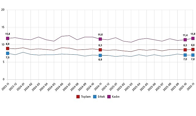 isgucu istatistikleri kasim 2025