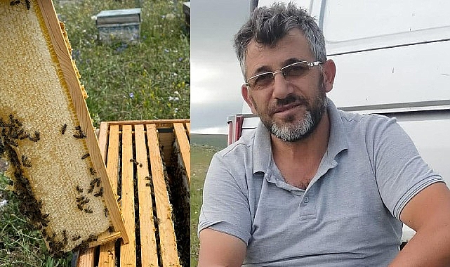 Kars platosunda doğaya saygılı arıcılık 1 kars platosunda dogaya saygili aricilik