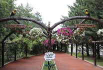 keciorende modern serada uretilen cicekler ilceyi susluyor