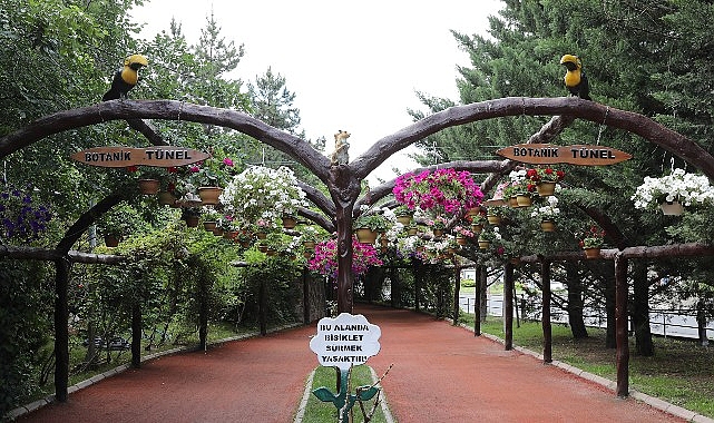 Keçiören’de Modern Serada Üretilen Çiçekler İlçeyi Süslüyor 1 keciorende modern serada uretilen cicekler ilceyi susluyor