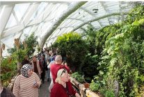 selcuklu yuz binlerce kisiyi agirladi