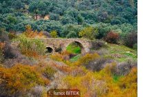 sonbaharin tum renkleri bayindirda bulustu