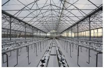 termal sera ile verimli uretim basliyor