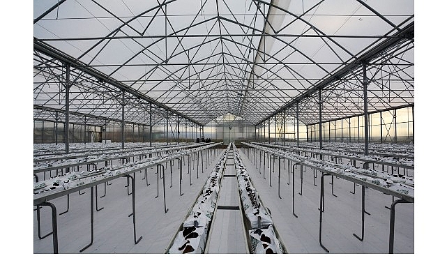 termal sera ile verimli uretim basliyor