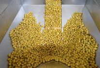 zeytin ve zeytinyagi sektorunde gucler urge projesinde birlestirilecek