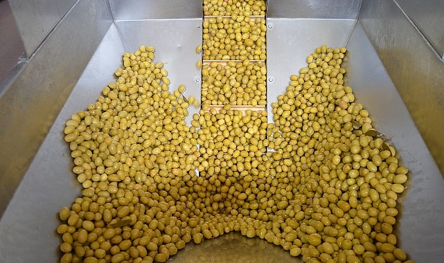 zeytin ve zeytinyagi sektorunde gucler urge projesinde birlestirilecek